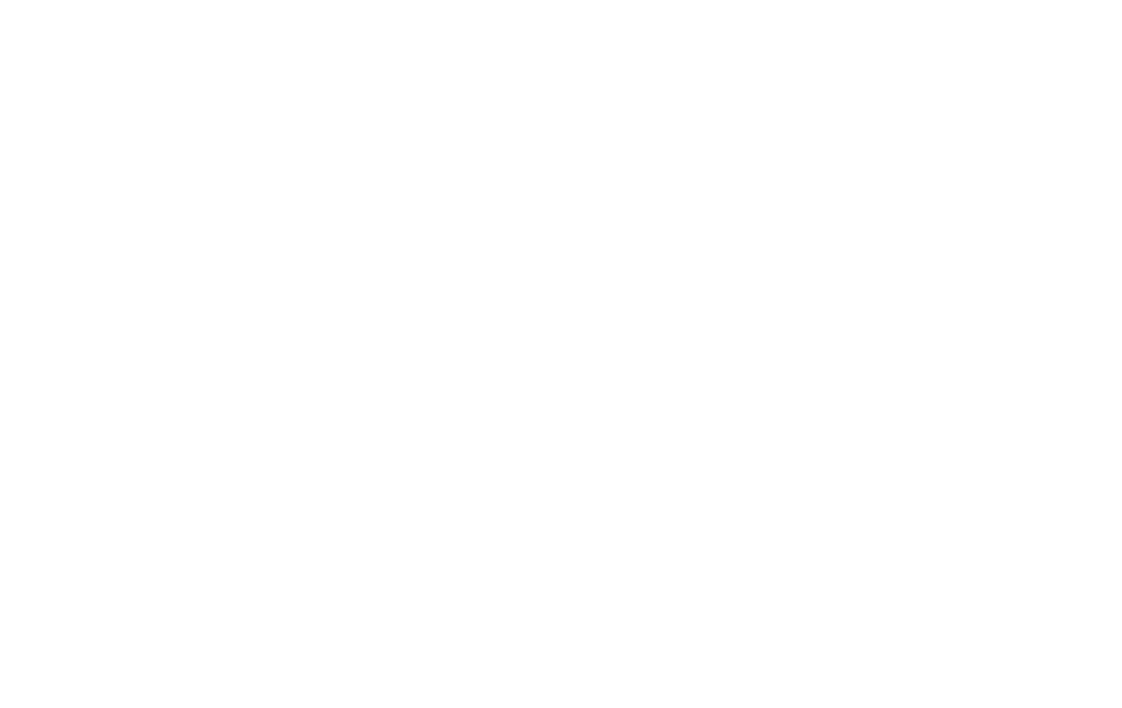 Virginia Beach Vintage Car Club